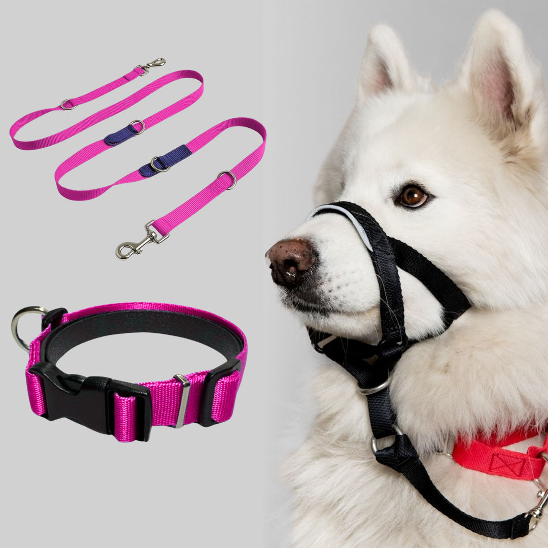 COMBO LOYALDOG