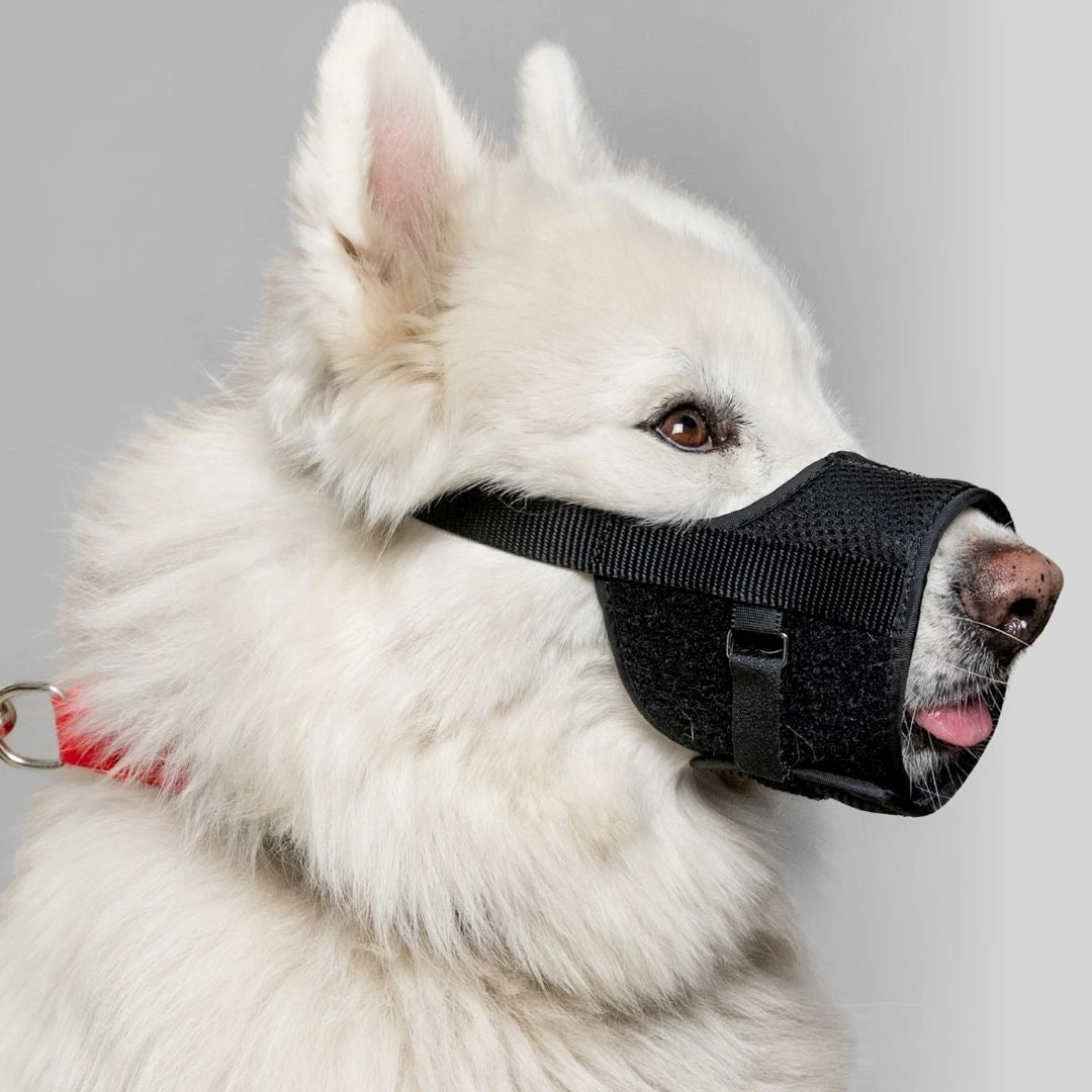 BOZAL CONFORT - Pets Masters