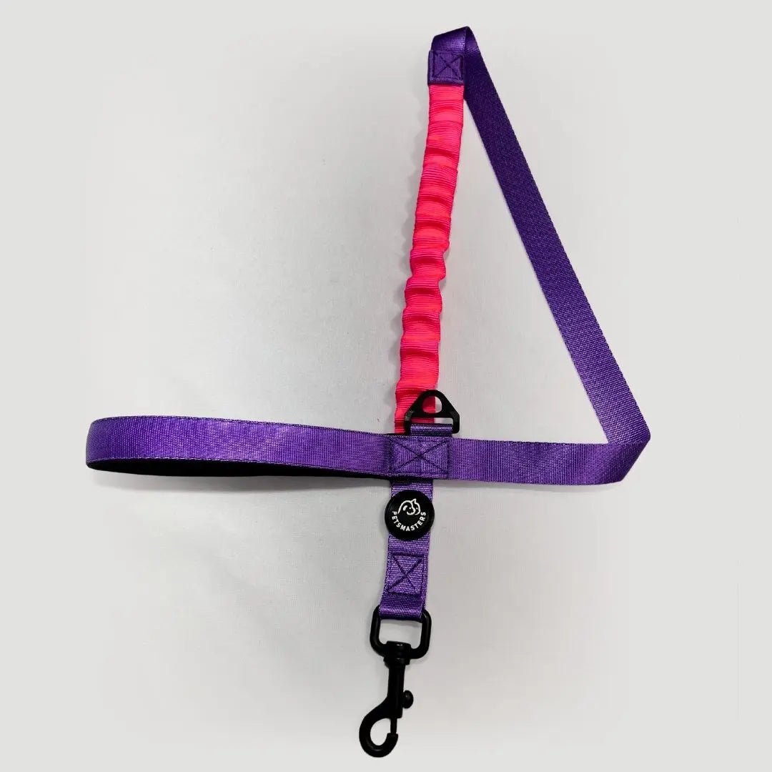 CORREA HALTY - Pets Masters