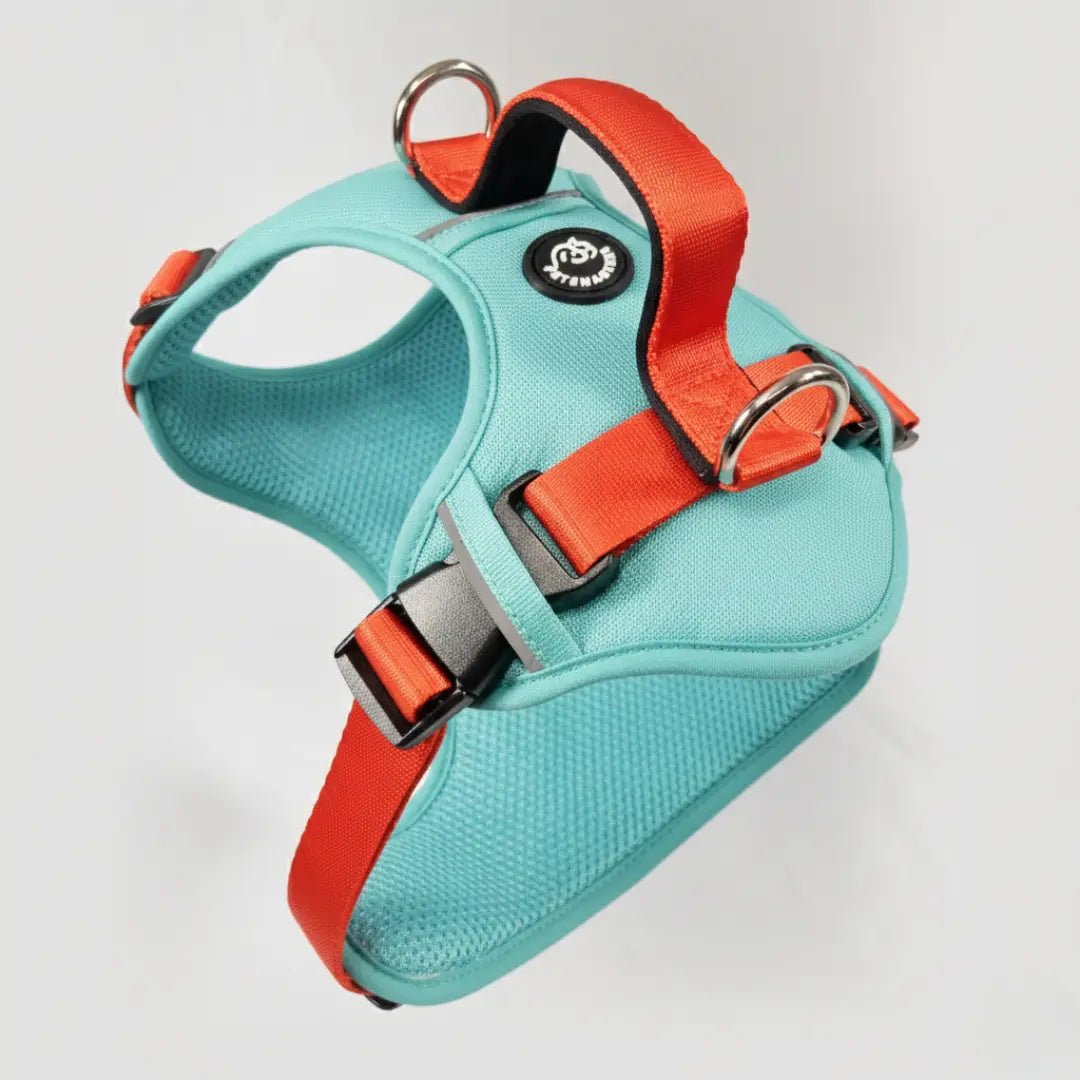 MAX PRO: ARNÉS ERGONÓMICO + CORREA GRATIS - Pets Masters