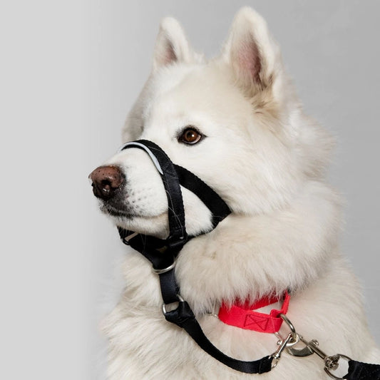 COLLAR ANTITIRONES