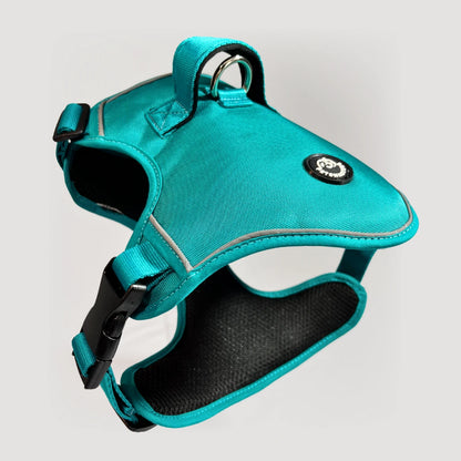 K9: ARNÉS ERGONÓMICO + CORREA GRATIS