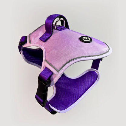 K9: ARNÉS ERGONÓMICO + CORREA GRATIS