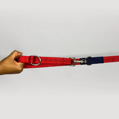CORREA + COLLAR PRO