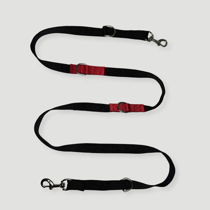 CORREA + COLLAR PRO