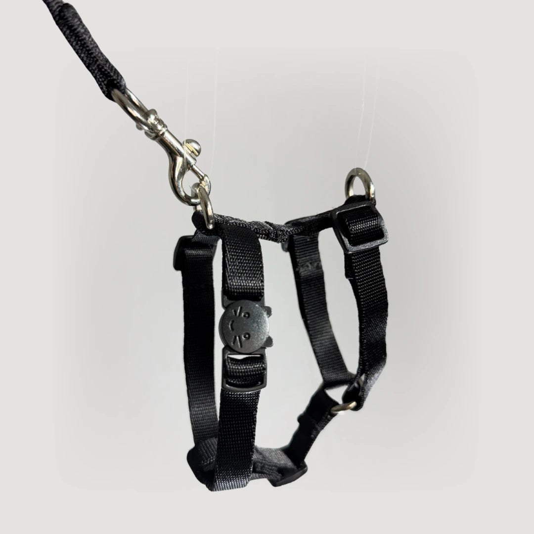 ARNES H PARA GATO + CORREA GRATIS