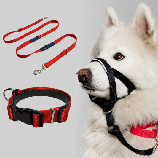 COMBO LOYALDOG