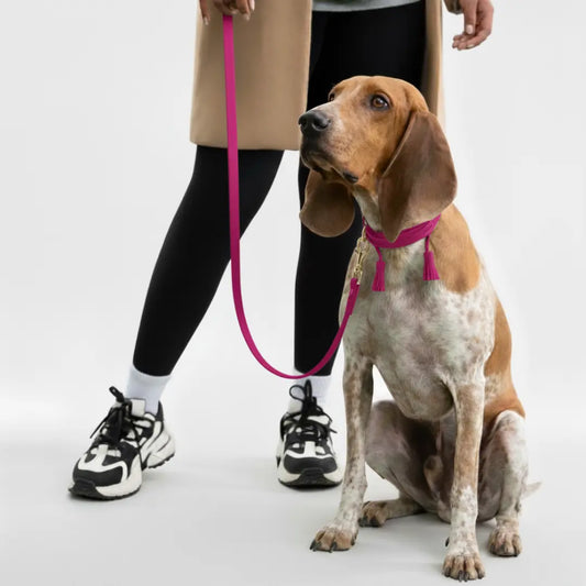 COMBO COLLAR POMPOM