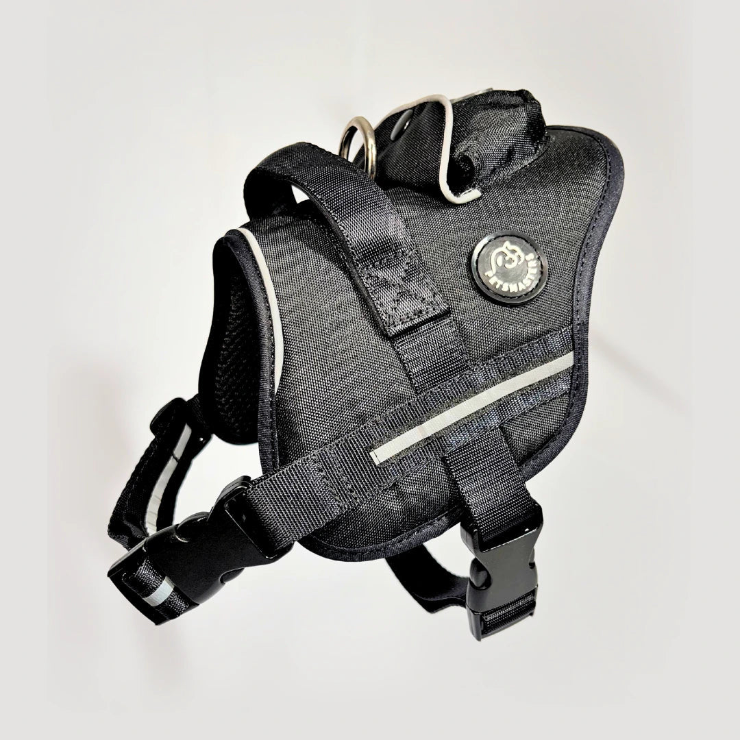 AGILITY: ARNÉS ERGONÓMICO + CORREA GRATIS - Pets Masters