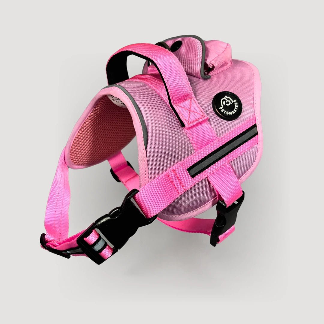 AGILITY: ARNÉS ERGONÓMICO + CORREA GRATIS - Pets Masters