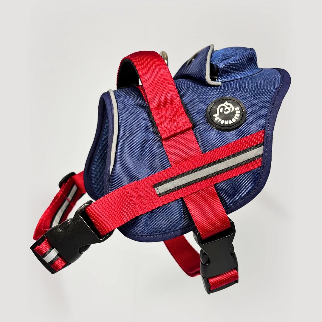 AGILITY: ARNÉS ERGONÓMICO + CORREA GRATIS - Pets Masters