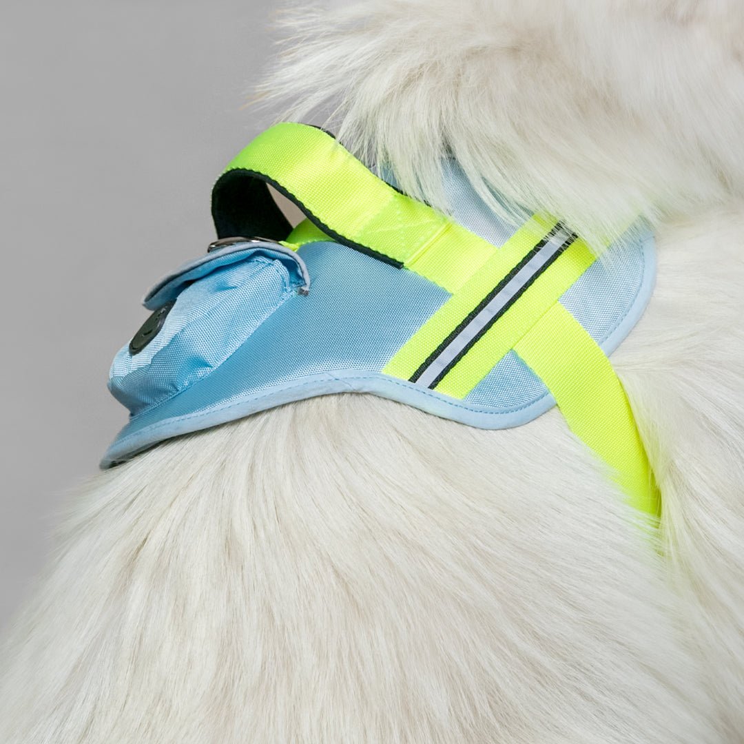 AGILITY: ARNÉS ERGONÓMICO + CORREA GRATIS - Pets Masters