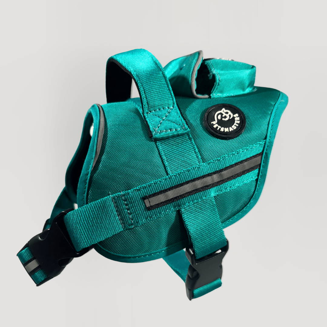 AGILITY: ARNÉS ERGONÓMICO + CORREA GRATIS - Pets Masters