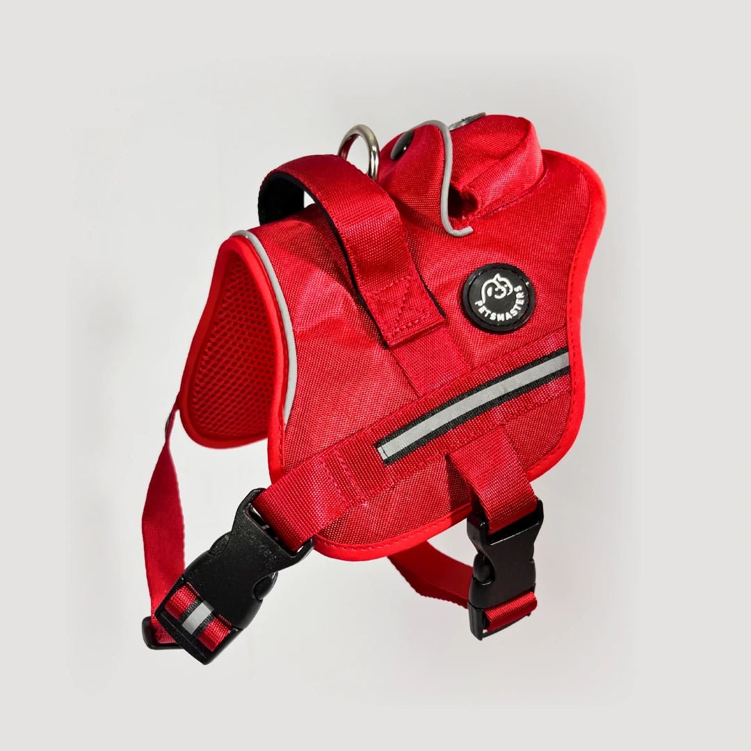 AGILITY: ARNÉS ERGONÓMICO + CORREA GRATIS - Pets Masters