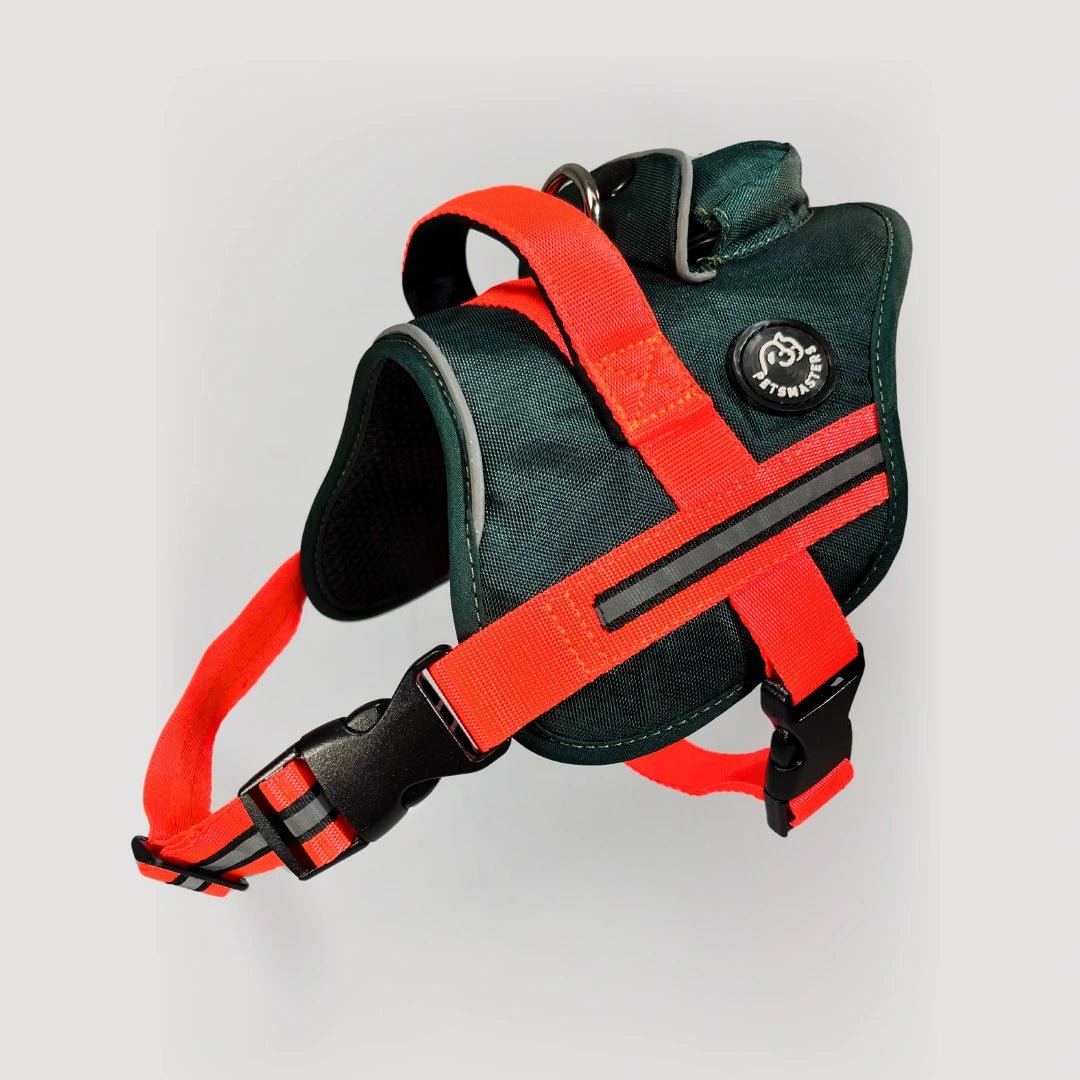 AGILITY: ARNÉS ERGONÓMICO + CORREA GRATIS - Pets Masters