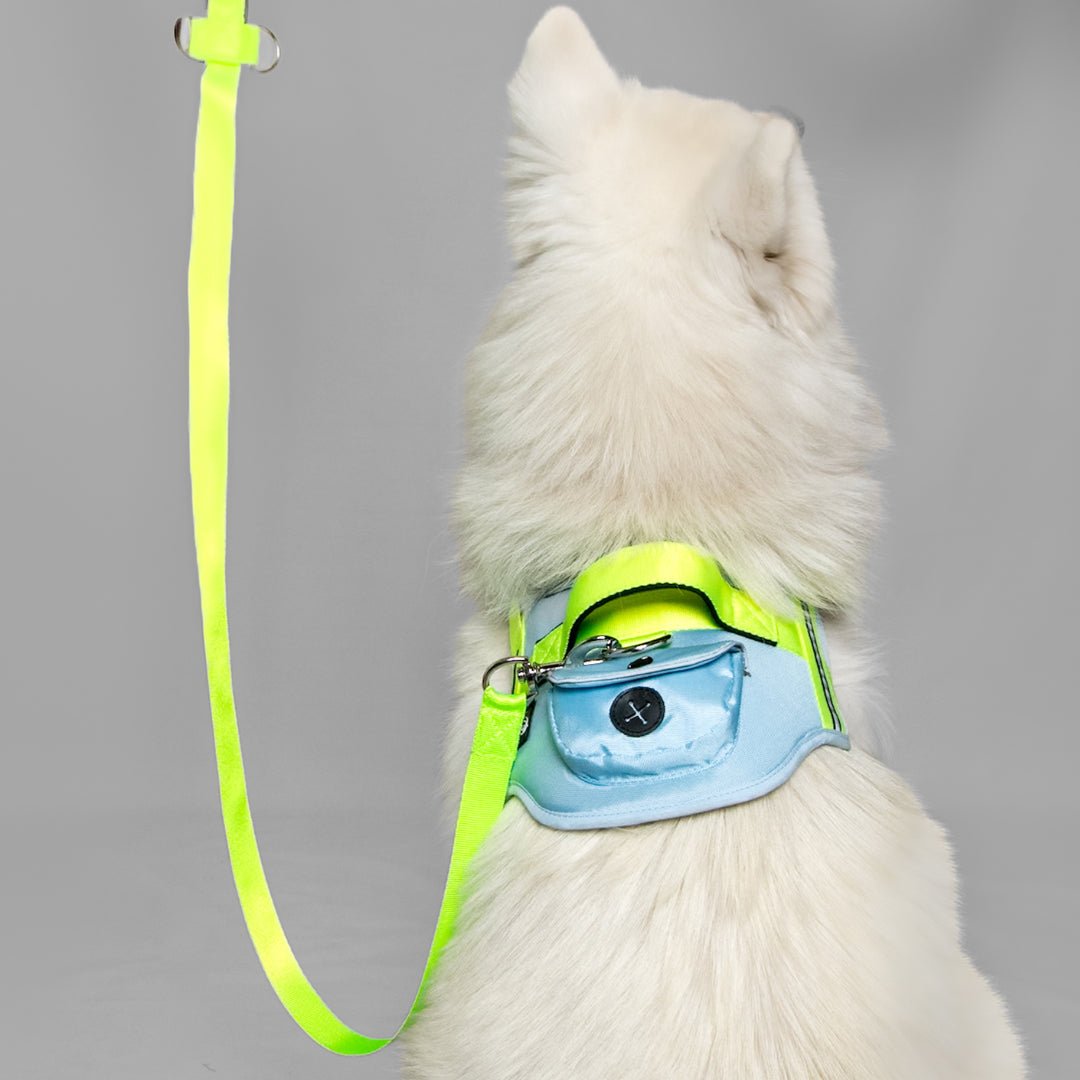 AGILITY: ARNÉS ERGONÓMICO + CORREA GRATIS - Pets Masters