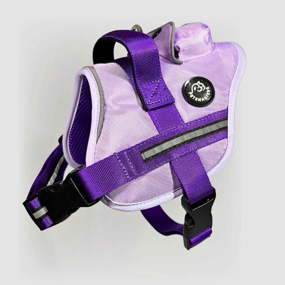 AGILITY: ARNÉS ERGONÓMICO + CORREA GRATIS - Pets Masters