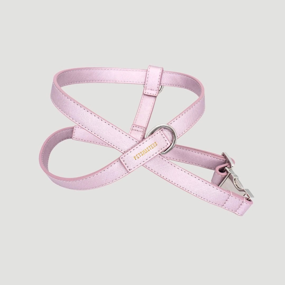 ARNES CRUZADO - Pets Masters