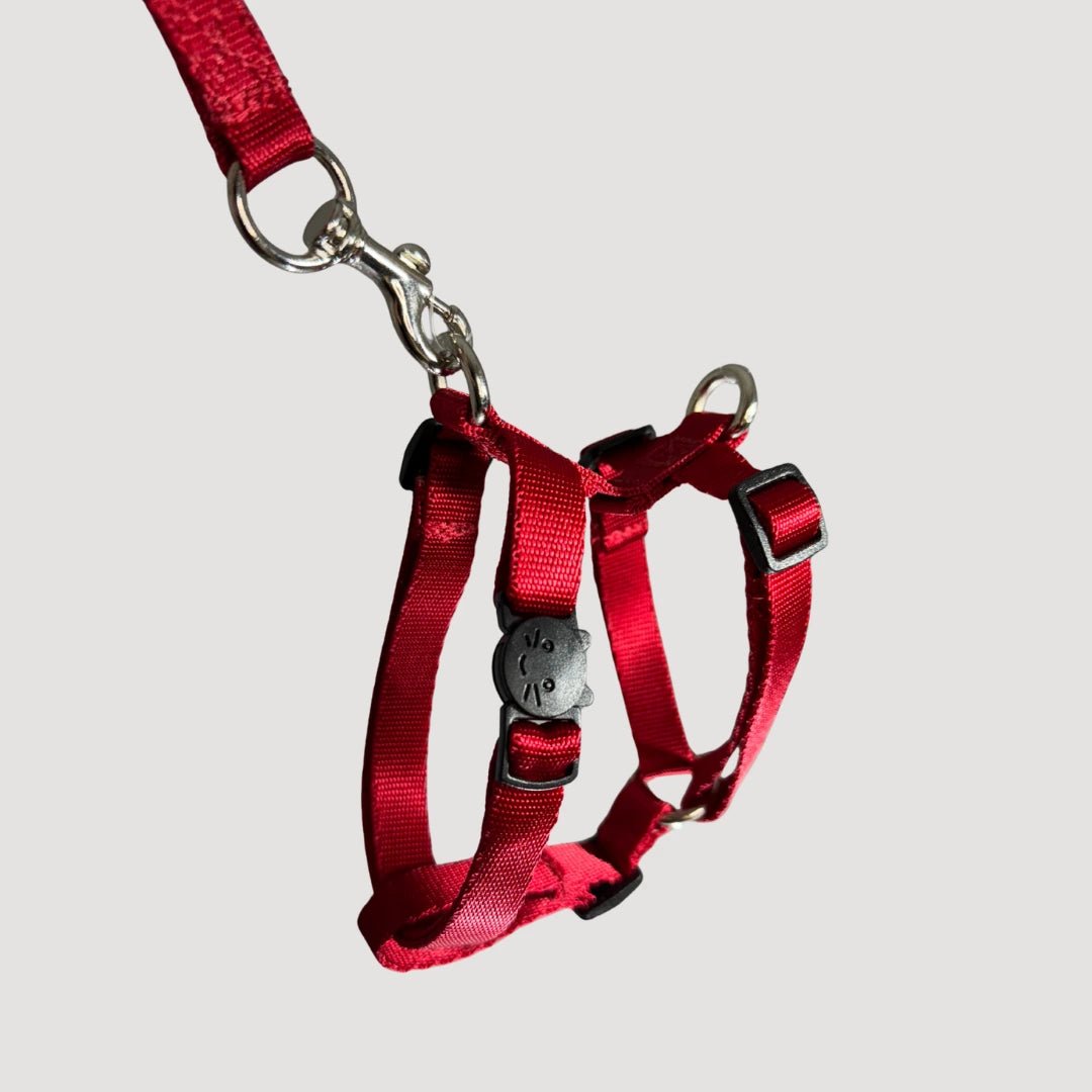 ARNES H PARA GATO + CORREA GRATIS - Pets Masters