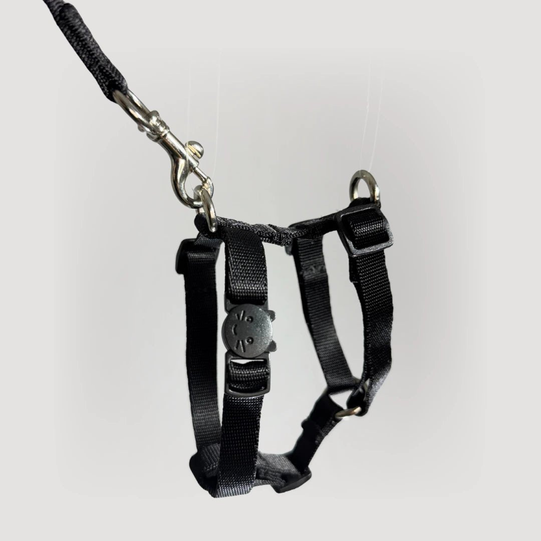 ARNES H PARA GATO + CORREA GRATIS - Pets Masters