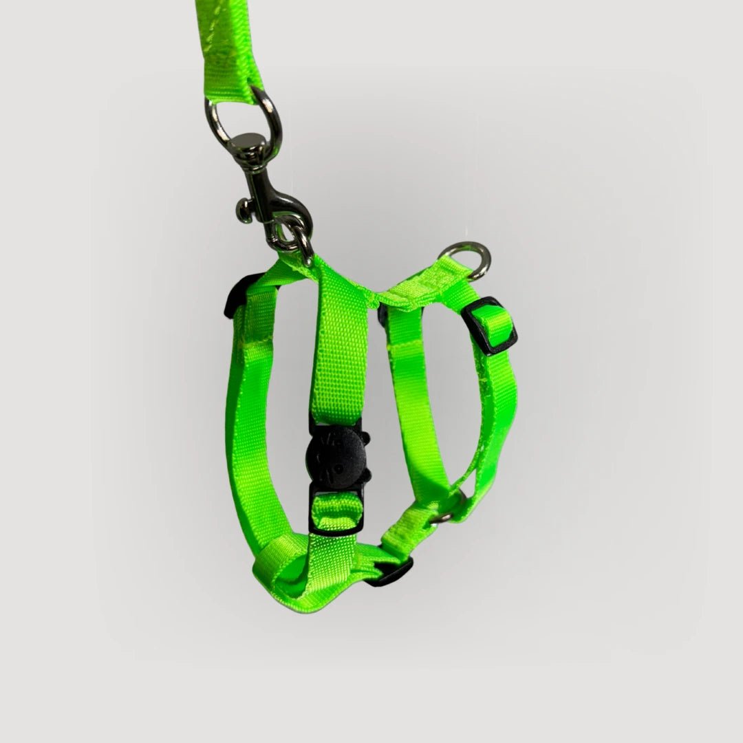 ARNES H PARA GATO + CORREA GRATIS - Pets Masters