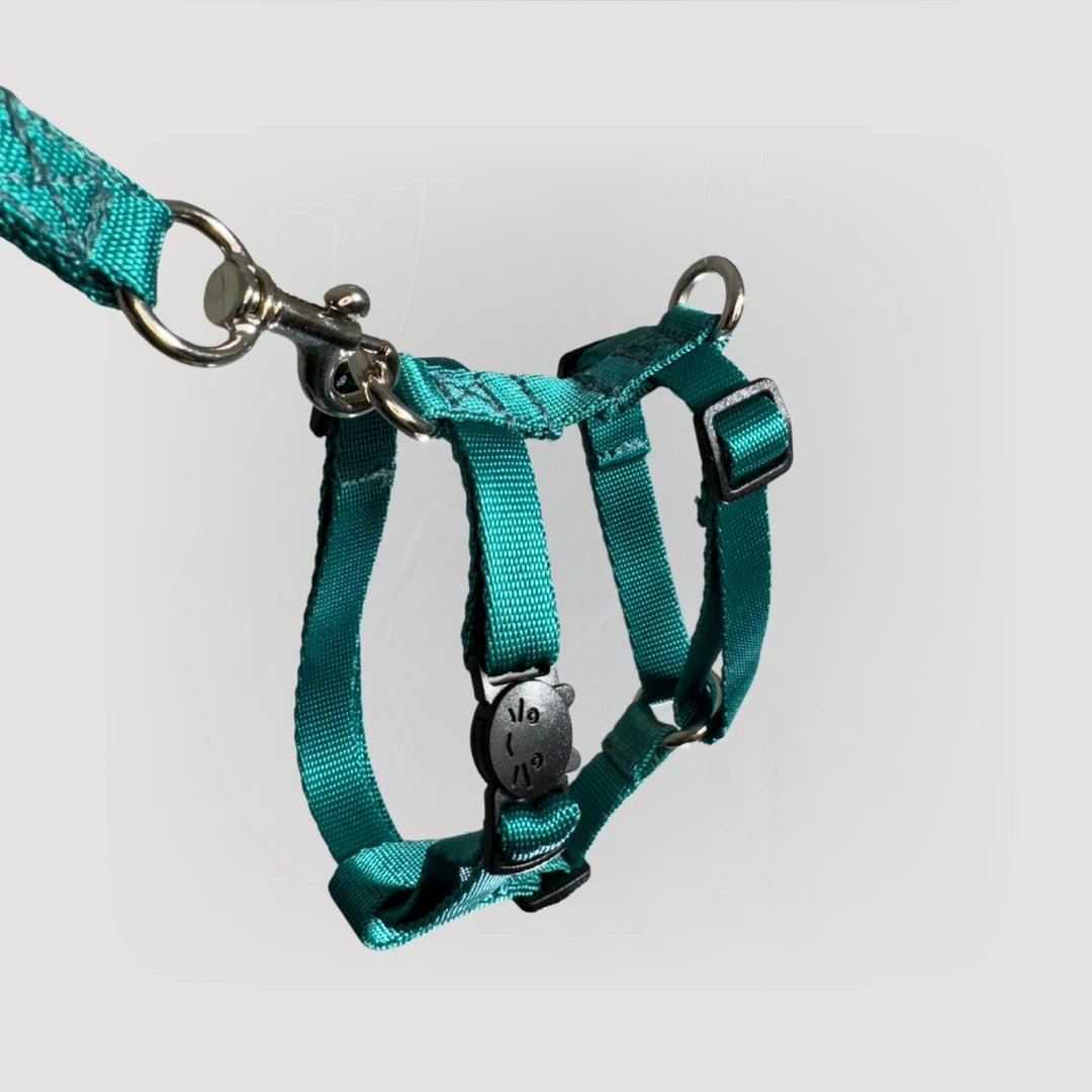 ARNES H PARA GATO + CORREA GRATIS - Pets Masters
