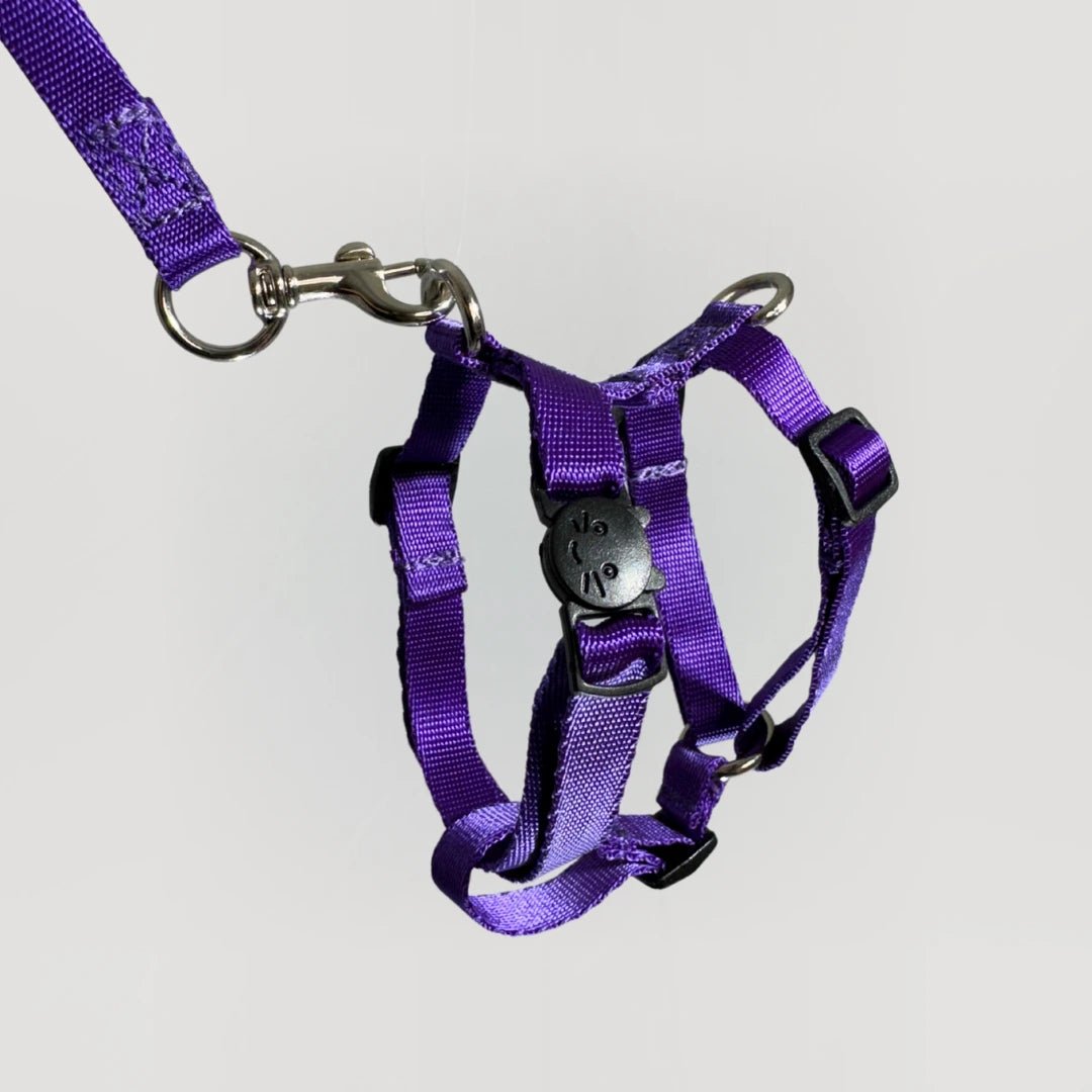 ARNES H PARA GATO + CORREA GRATIS - Pets Masters
