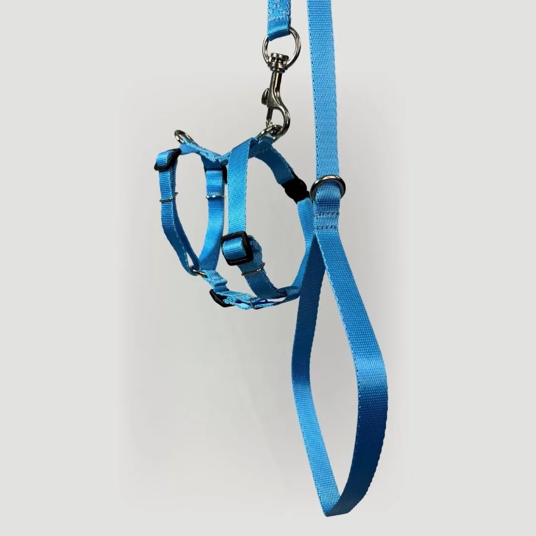 ARNES H PARA GATO + CORREA GRATIS - Pets Masters