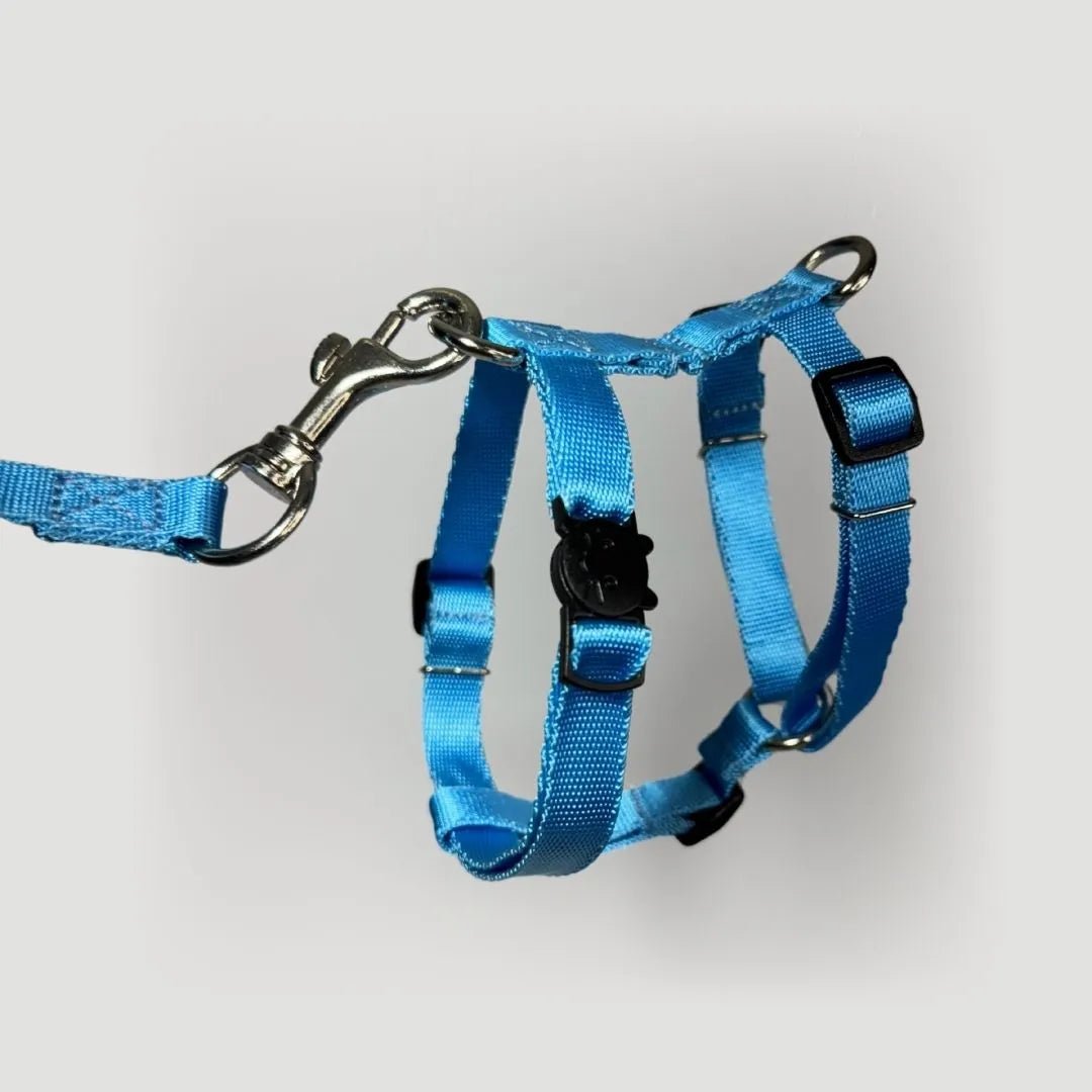 ARNES H PARA GATO + CORREA GRATIS - Pets Masters