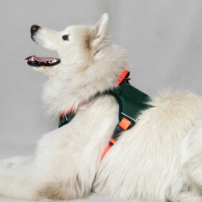 ARNES K9 - Pets Masters