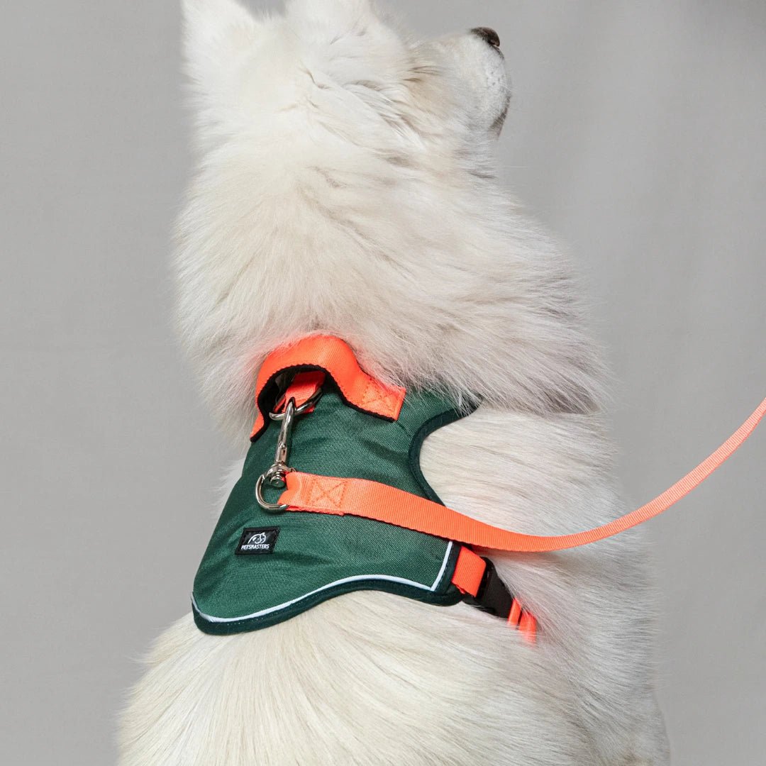 ARNES K9 - Pets Masters