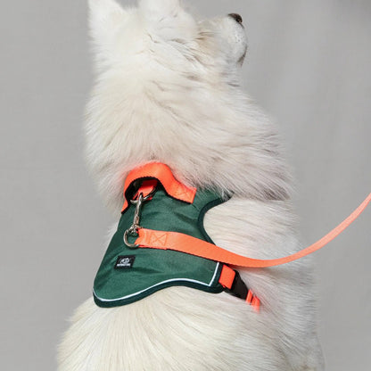 ARNES K9 - Pets Masters