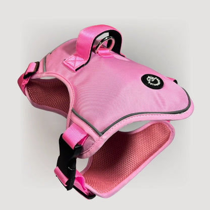 ARNES K9 - Pets Masters