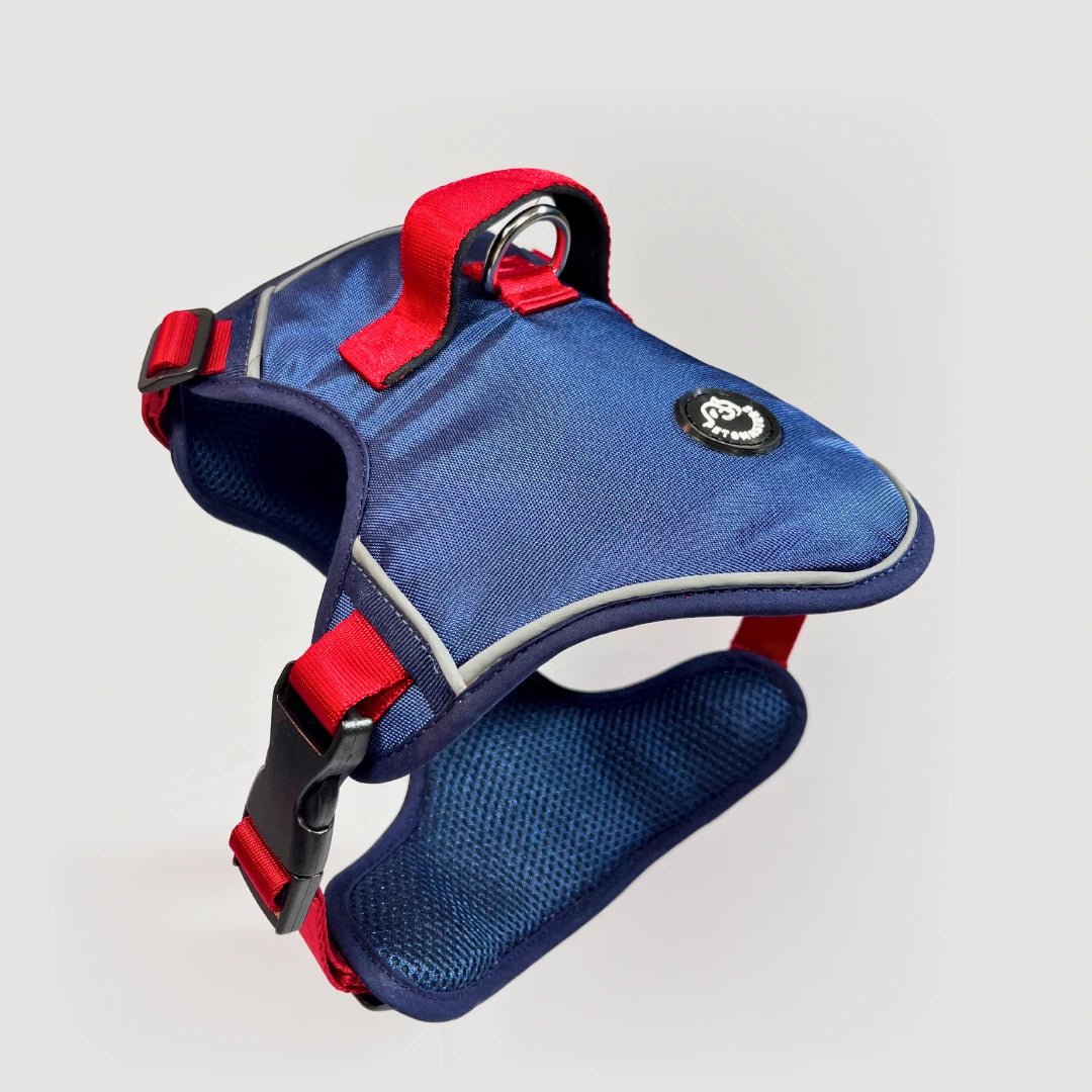 ARNES K9 - Pets Masters