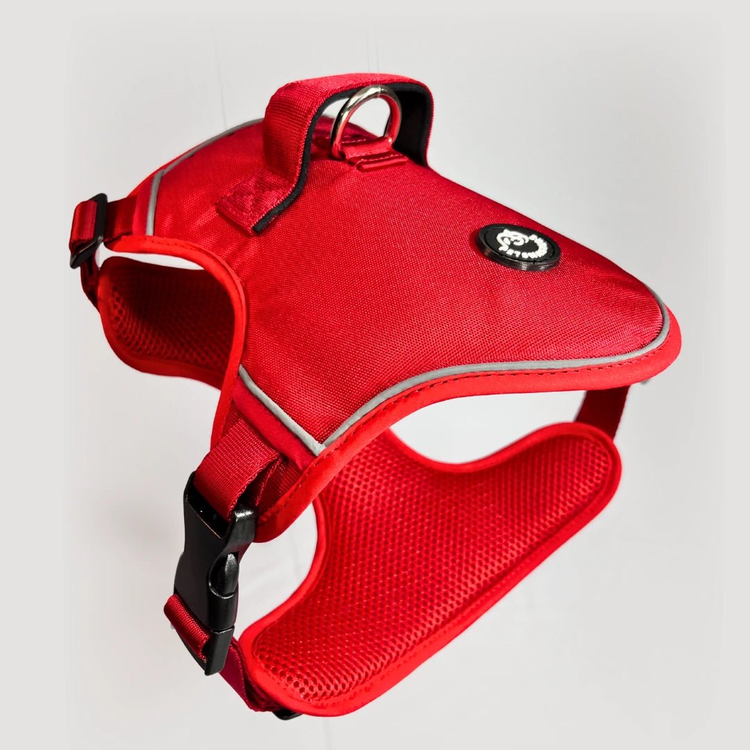 ARNES K9 - Pets Masters