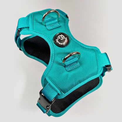 ARNES MAX - Pets Masters