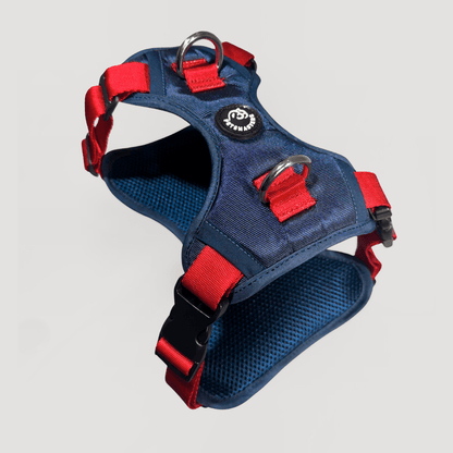 ARNES MAX - Pets Masters