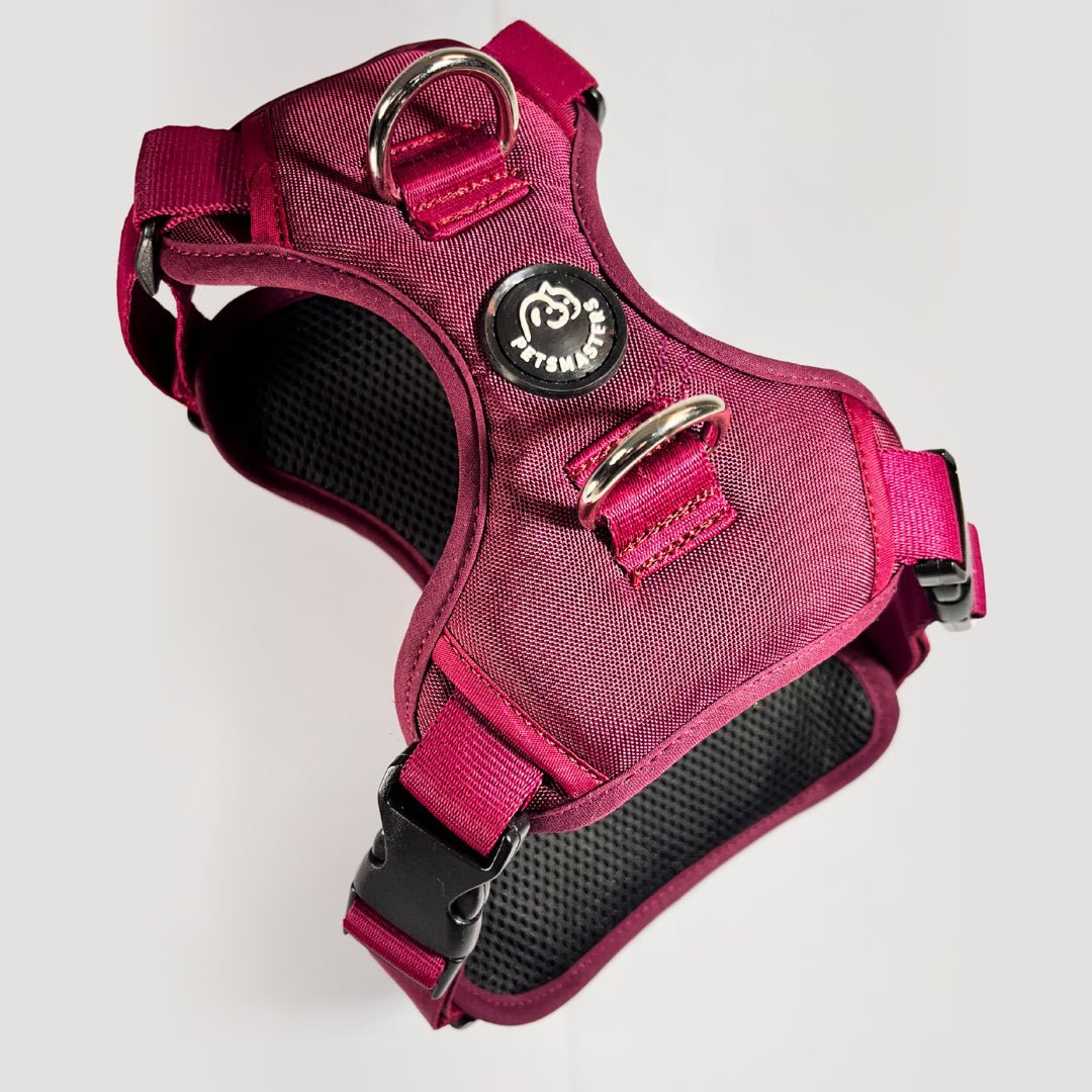 ARNES MAX - Pets Masters