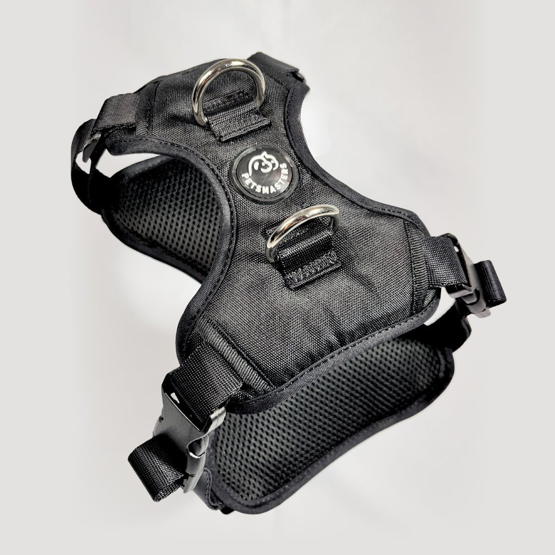 ARNES MAX - Pets Masters