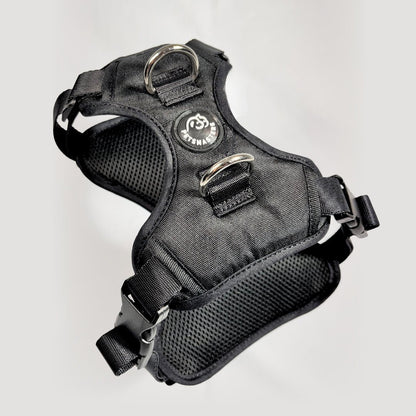 ARNES MAX - Pets Masters