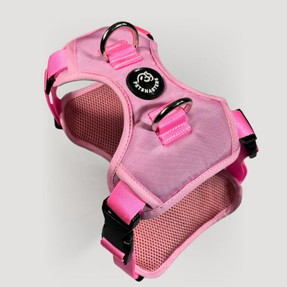 ARNES MAX - Pets Masters