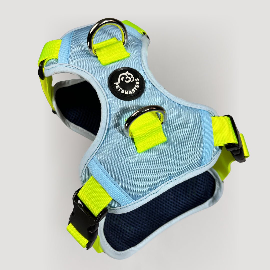 ARNES MAX - Pets Masters