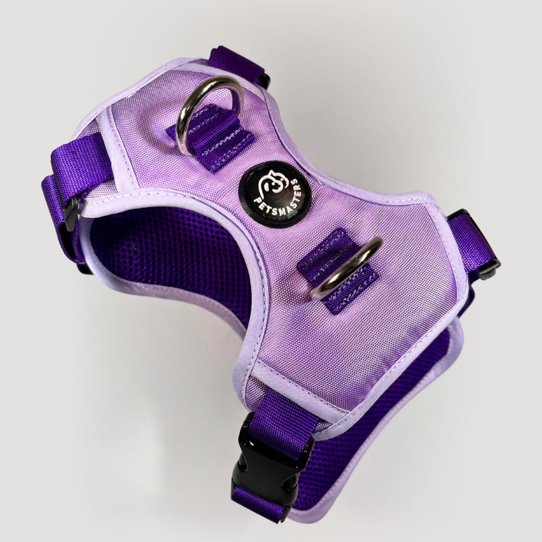 ARNES MAX - Pets Masters