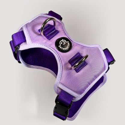 ARNES MAX - Pets Masters