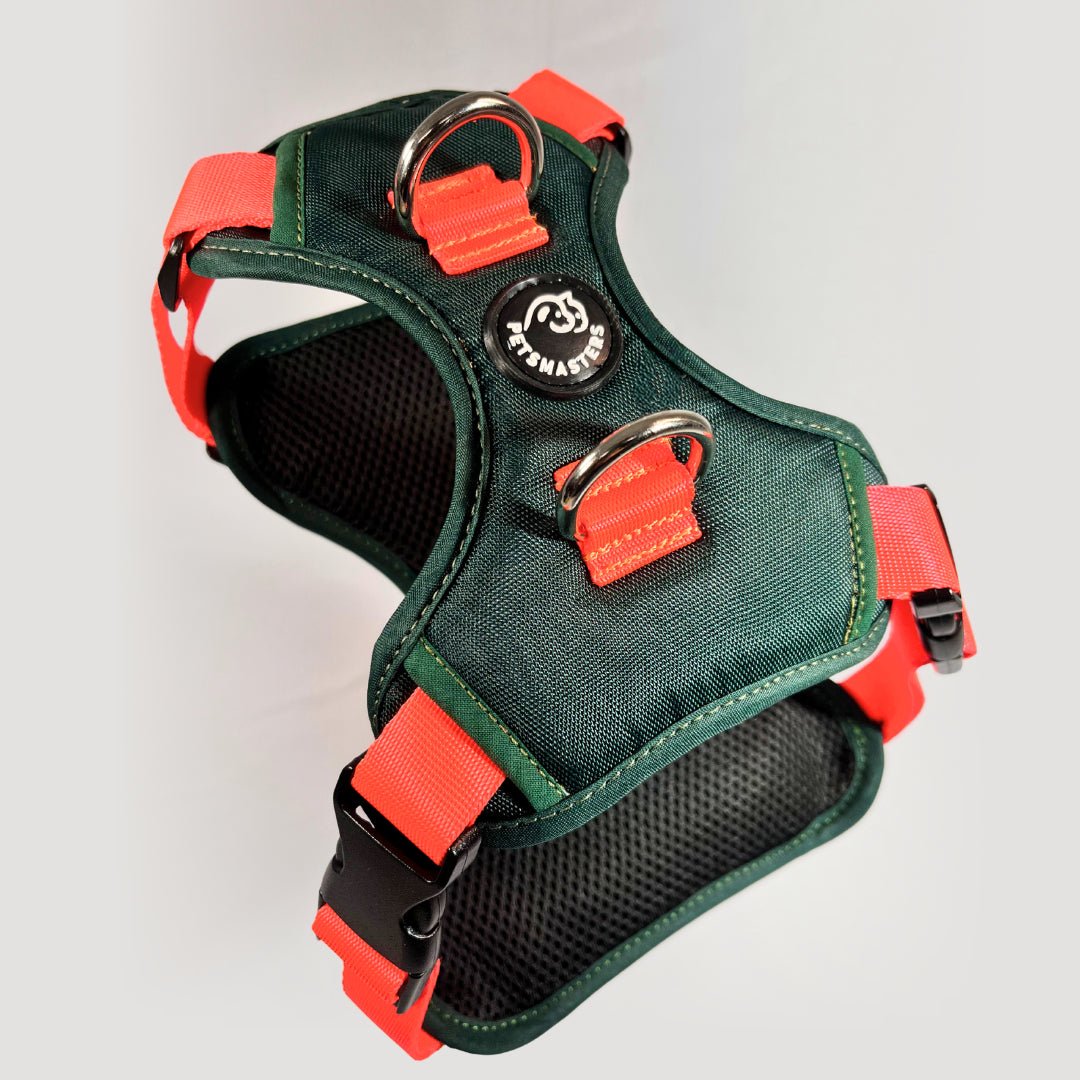 ARNES MAX - Pets Masters