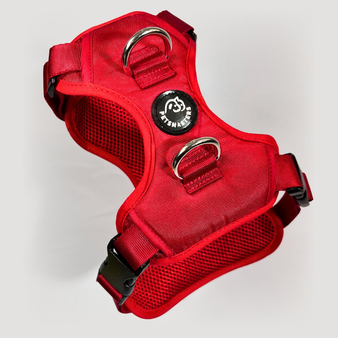 ARNES MAX - Pets Masters