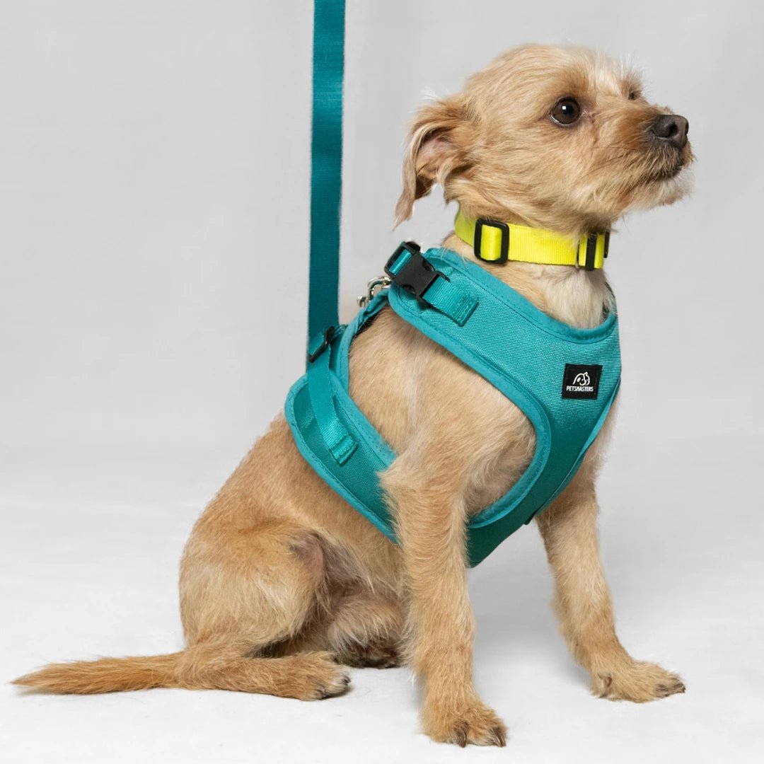 BLU: ARNÉS ERGONÓMICO + CORREA GRATIS - Pets Masters