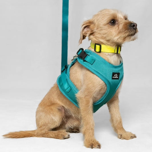 BLU: ARNÉS ERGONÓMICO + CORREA GRATIS - Pets Masters