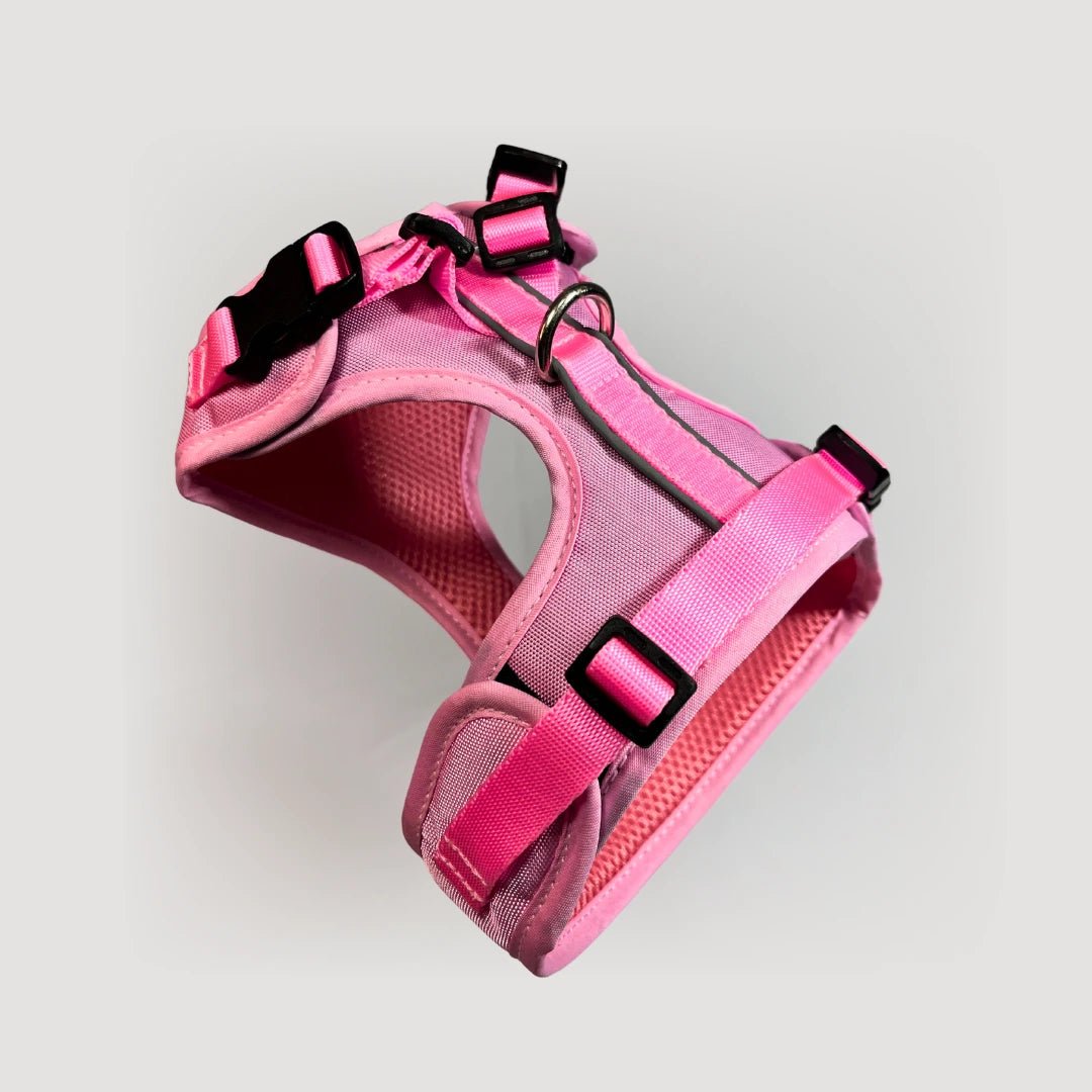BLU: ARNÉS ERGONÓMICO + CORREA GRATIS - Pets Masters