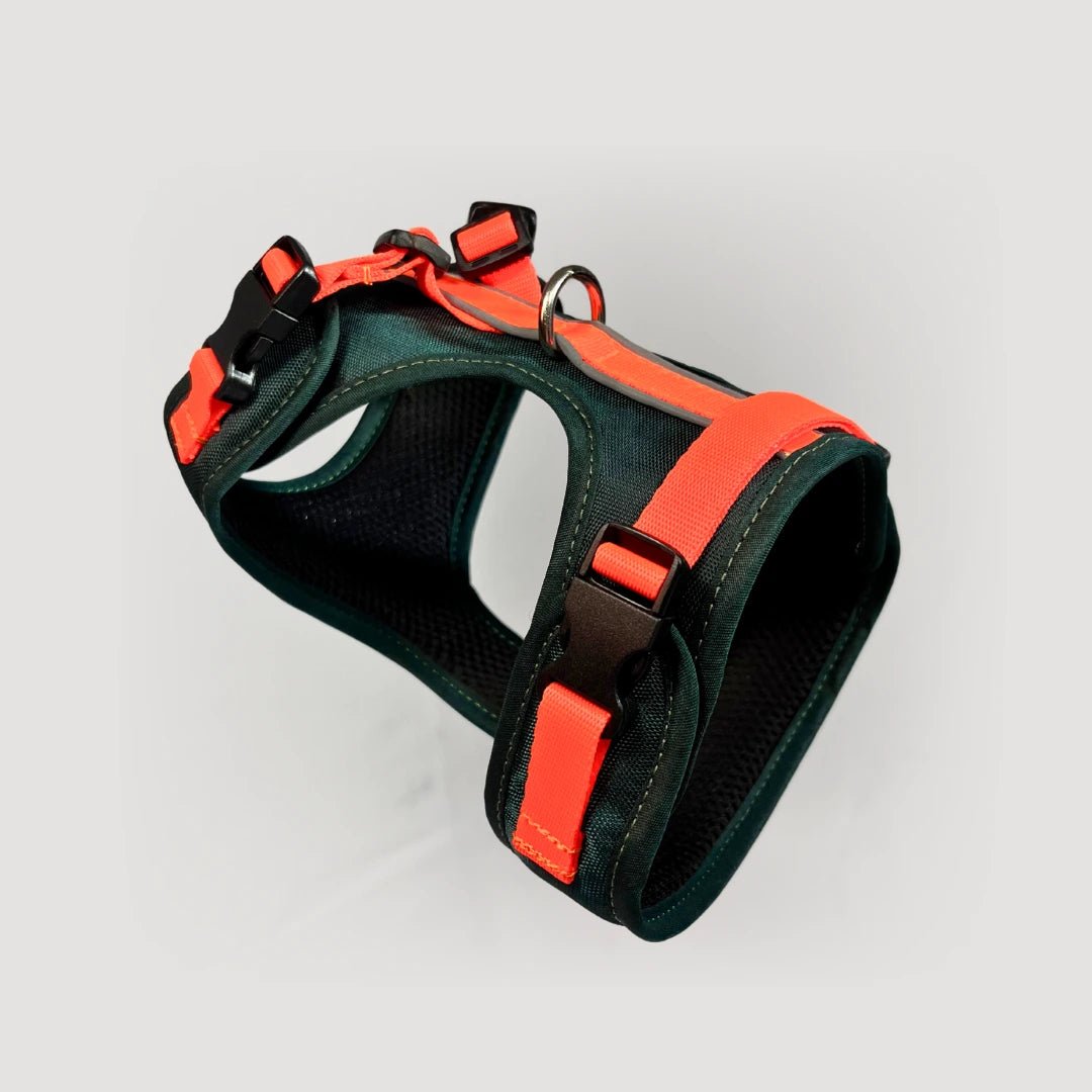 BLU: ARNÉS ERGONÓMICO + CORREA GRATIS - Pets Masters